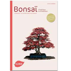 Bonsai interieur exterieur